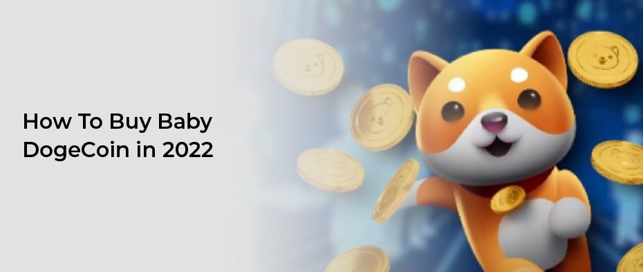 How To Buy Baby DogeCoin in 2023