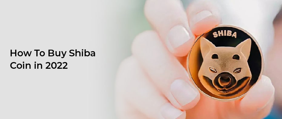 How To Buy Shiba Coin in 2022