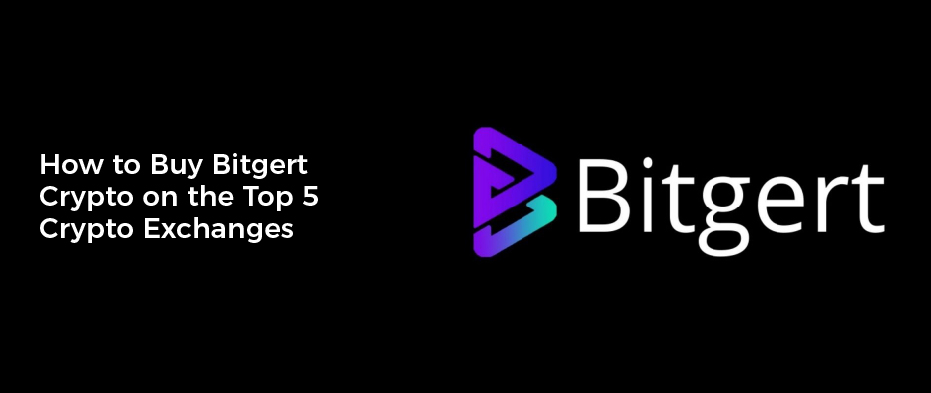 How to Buy Bitgert Crypto on the Top 5 Crypto Exchanges